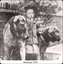 Bandogs in 1912