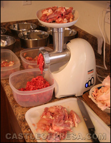 Meat grinder and raw meat